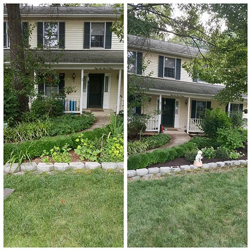 Brush Removal in Falls Church, VA.