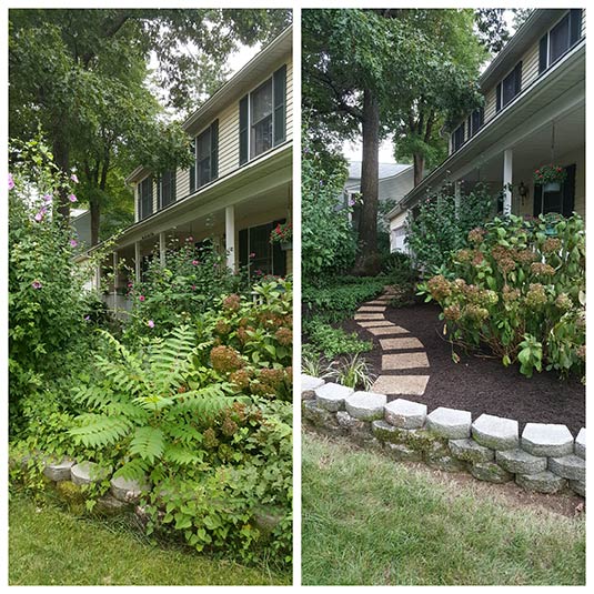 Trimming and pruning in Falls Church, VA.