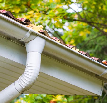 Gutter cleaning in Falls Church, VA.