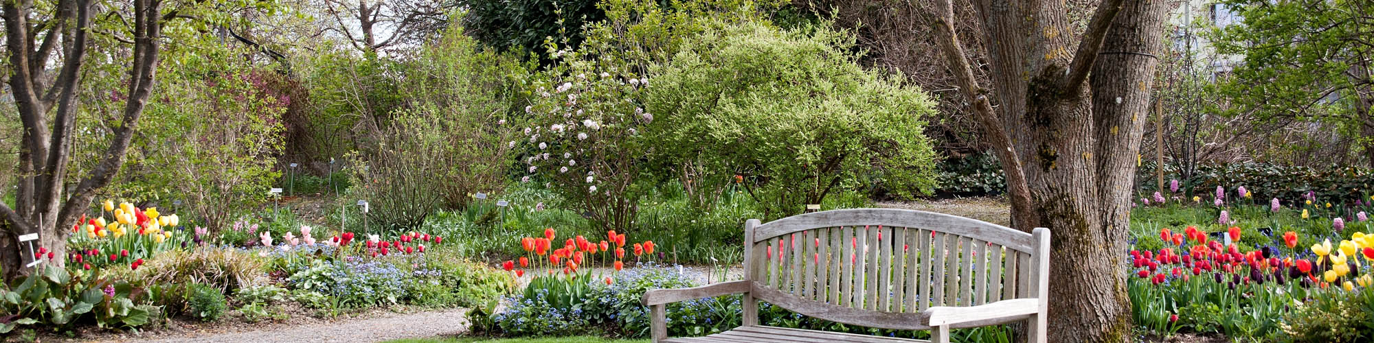 Landscape design in Falls Church, VA 